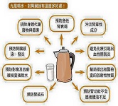 這三個時間喝水，養腎效果勝人蔘！