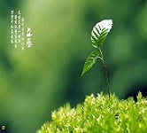 消除便祕方的對策
