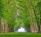 你已經吃出糖尿病 不可不知的「糖醣」飲食陷阱