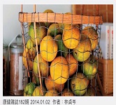 柑橘養生撇步 4大吃橘禁忌