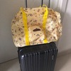卡通圖案旅行可放行李箱上收納袋 獨具衣格 A0017