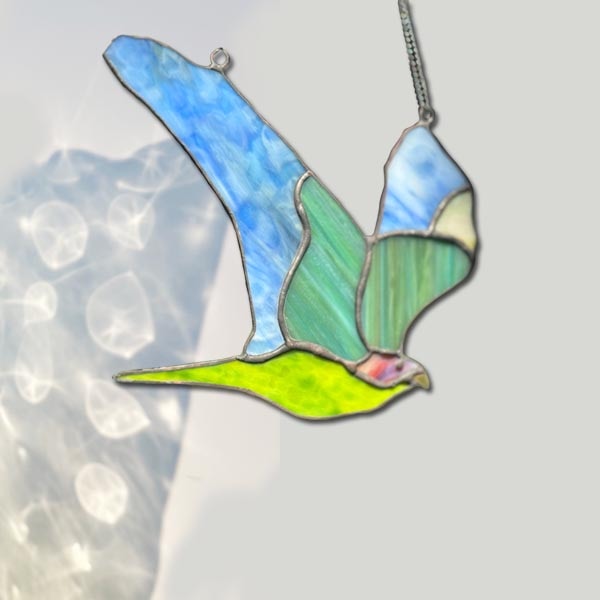 國慶鳥