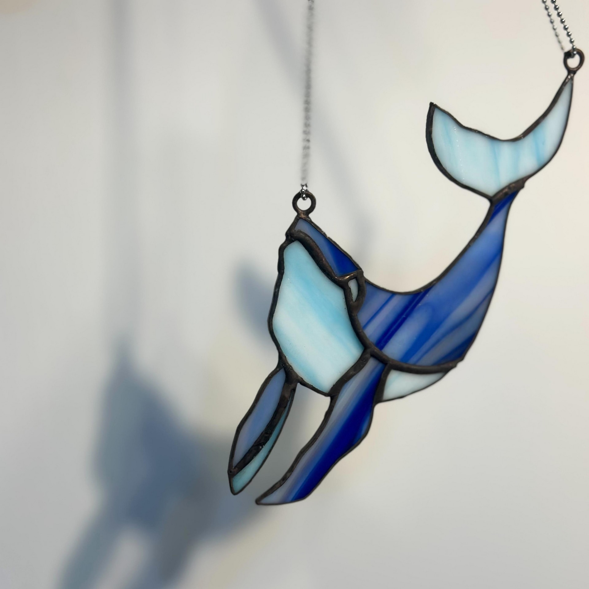 鯨魚