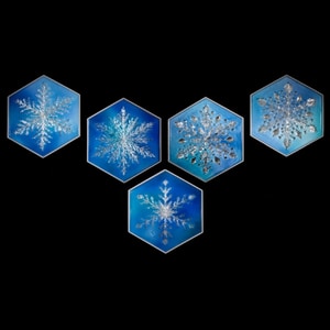 瑞雪凝輝・微芒