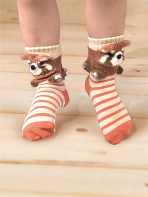 貝寶3D公仔襪- 酷浣熊
