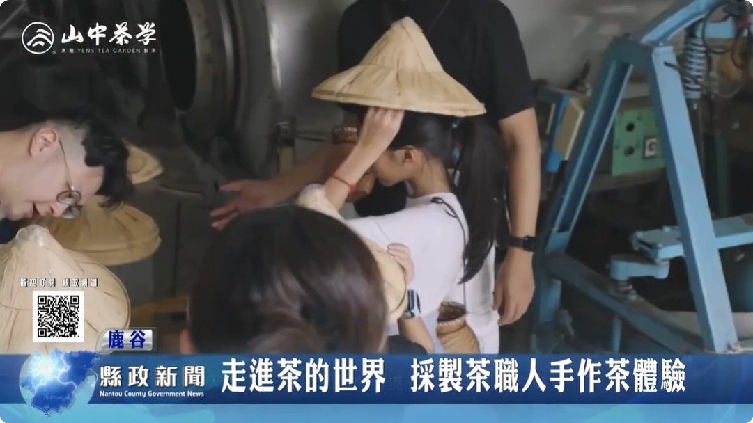 走進茶的世界 採製茶職人手作茶體驗｜南投縣政新聞 2024.06.13