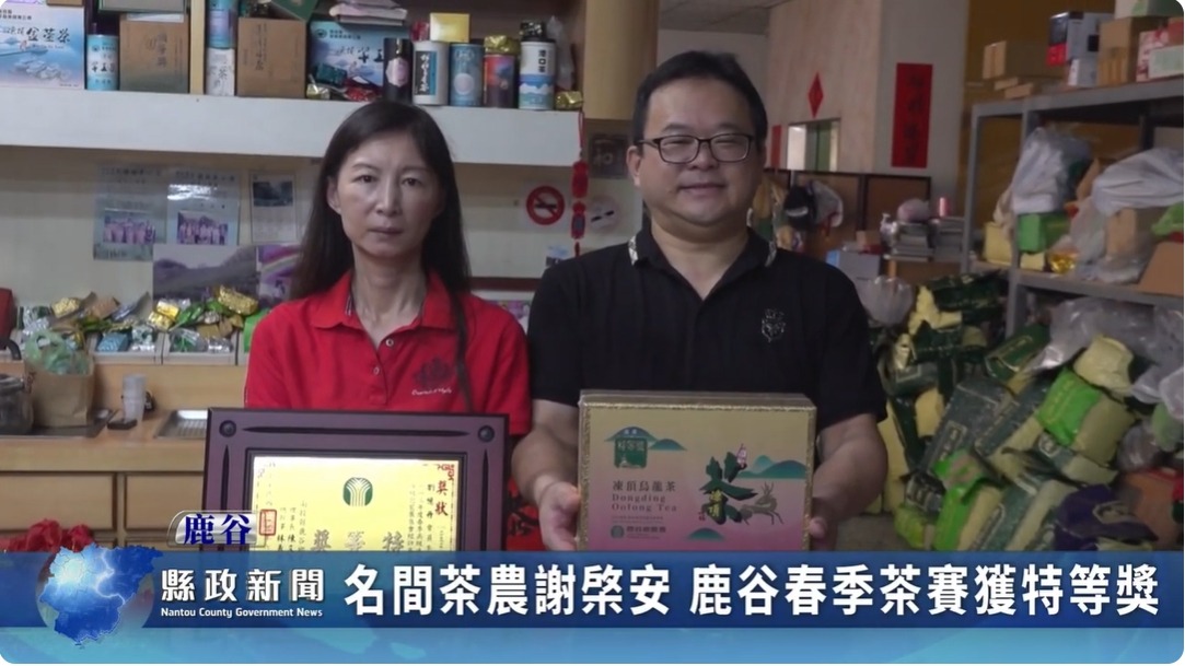 名間茶農謝棨安 鹿谷春季茶賽獲特等獎｜南投縣政新聞 2024.06.19
