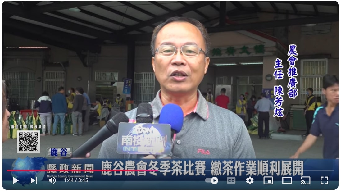 鹿谷農會冬季茶比賽 繳茶作業順利展開｜南投縣政新聞 2024.11.27