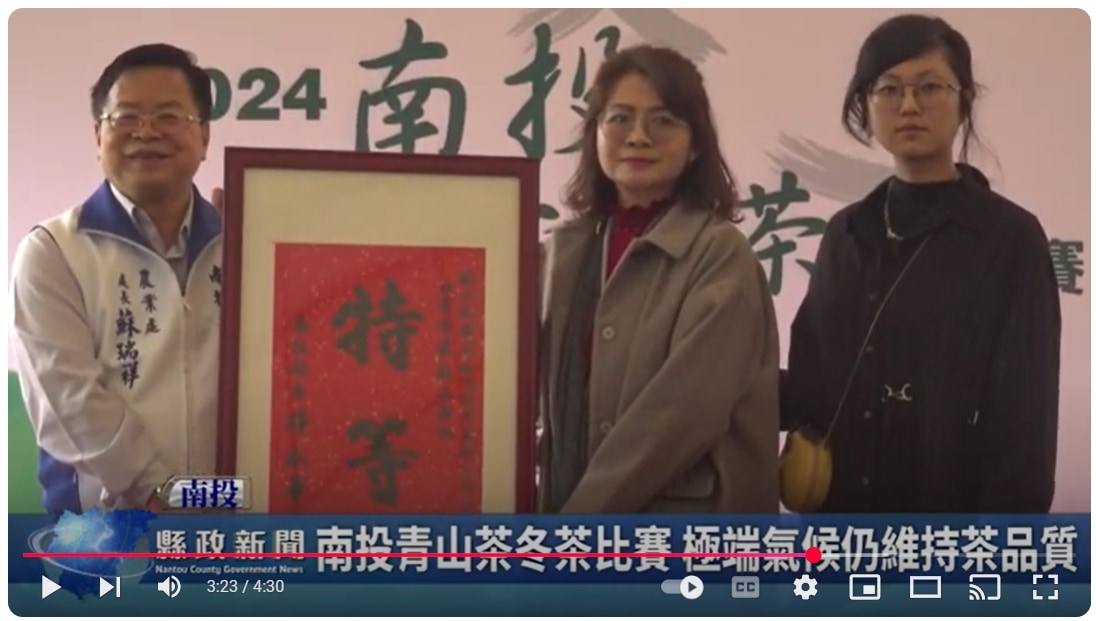 南投青山茶冬茶比賽 極端氣候仍維持茶品質｜南投縣政新聞 2024.12.19