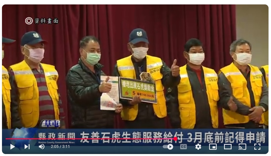 友善石虎生態服務給付 3月底前記得申請｜南投縣政新聞 2025.03.19