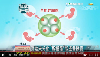 【科學不一樣】原始未分化　「幹細胞」能成各器官