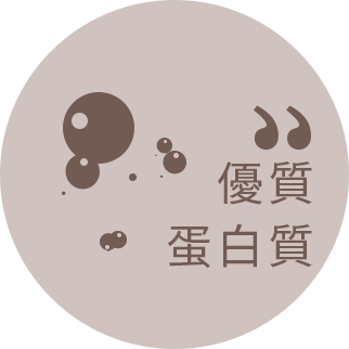補充蛋白質