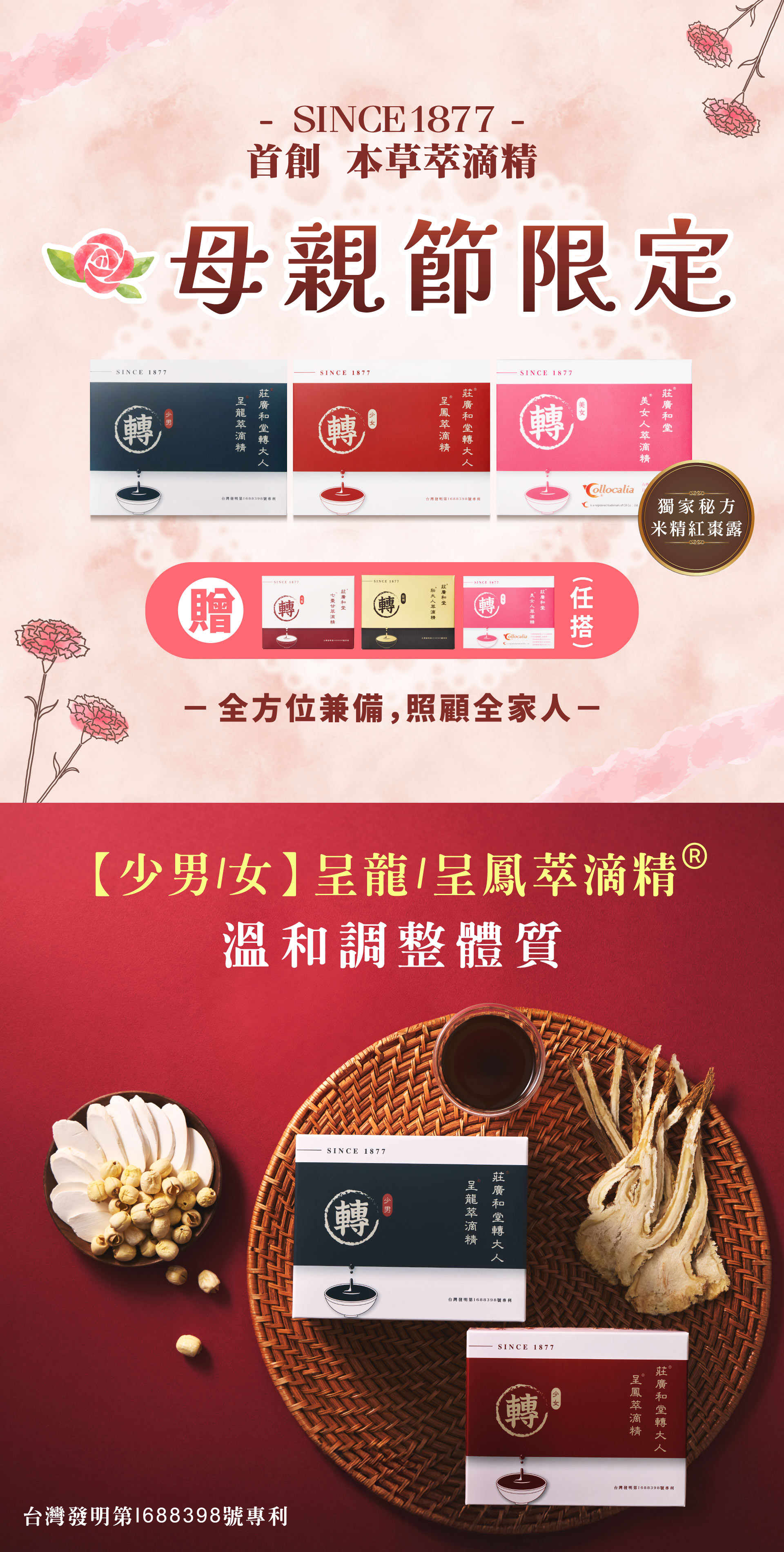 母親節方案01 母親節方案01