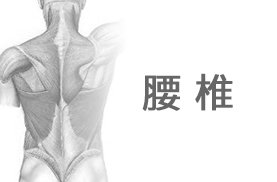 腰部脊椎狹窄（Lumbar spinal stenosis）的簡介