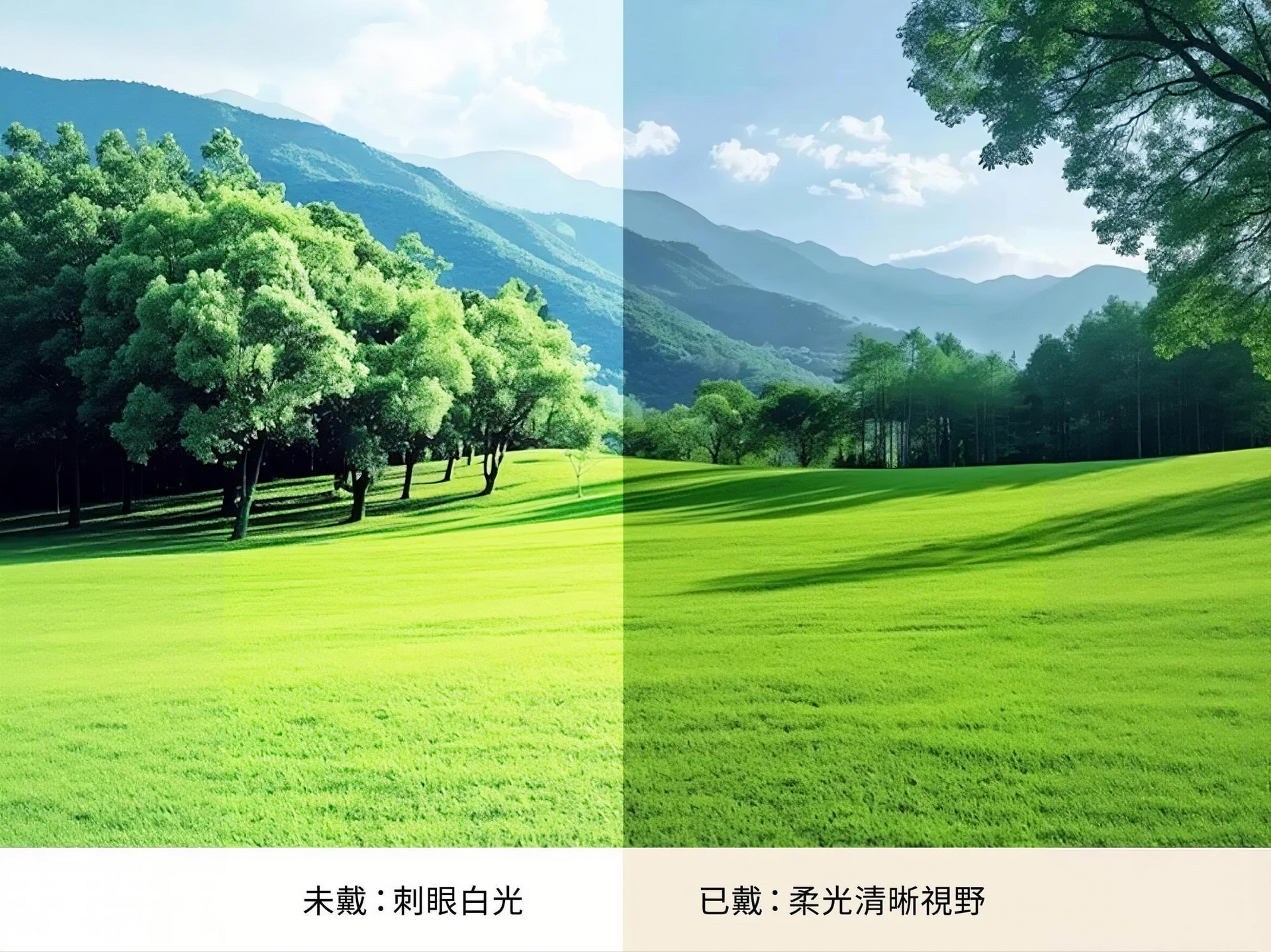 jimeng-2026-04-08-6314(1)