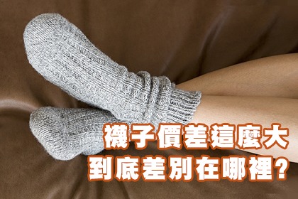 襪子價差這麼大到底差別在哪裡? 襪子價差這麼大到底差別在哪裡?