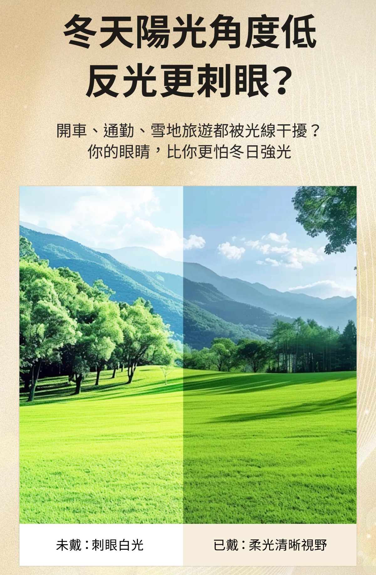 眼镜详情_03