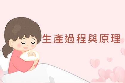 生產的過程與原理 生產的過程與原理