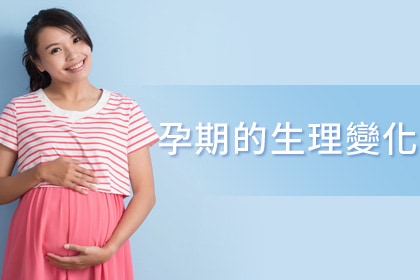孕期的生理變化 孕期的生理變化