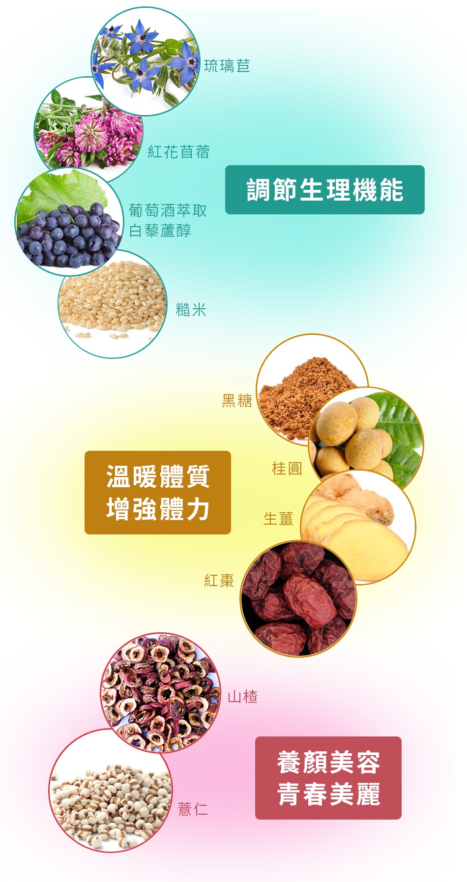 小紅飲成分-3 小紅飲成分-3