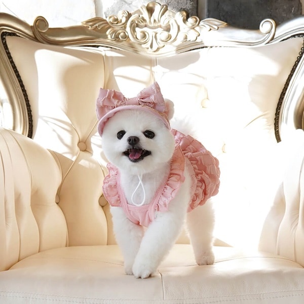 3. POPCORN VOLUME PUMPKIN DRESS SET 首圖-1