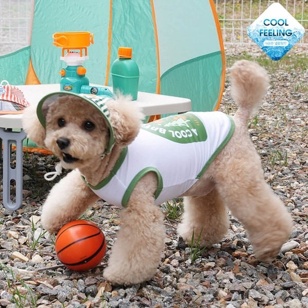 4. BUTTERFLY CROP T SHIRT 首圖