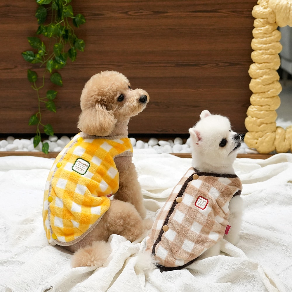 4. BUTTERFLY CROP T SHIRT 首圖