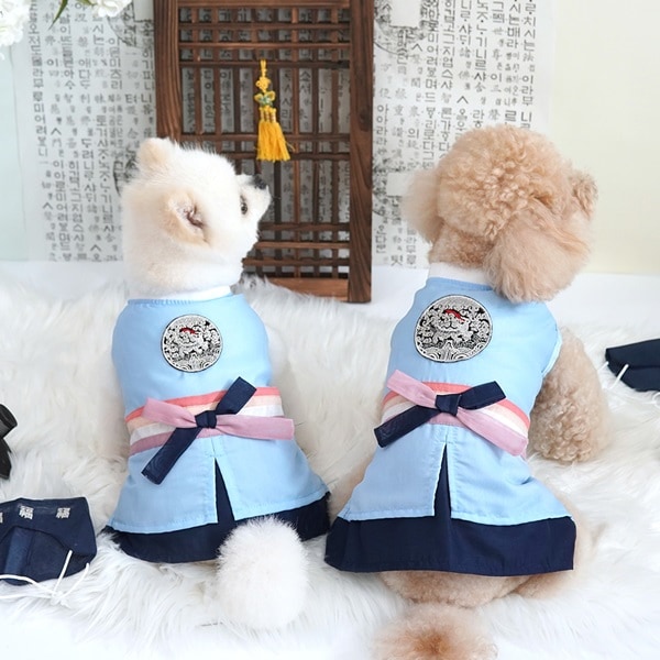 4. BUTTERFLY CROP T SHIRT 首圖