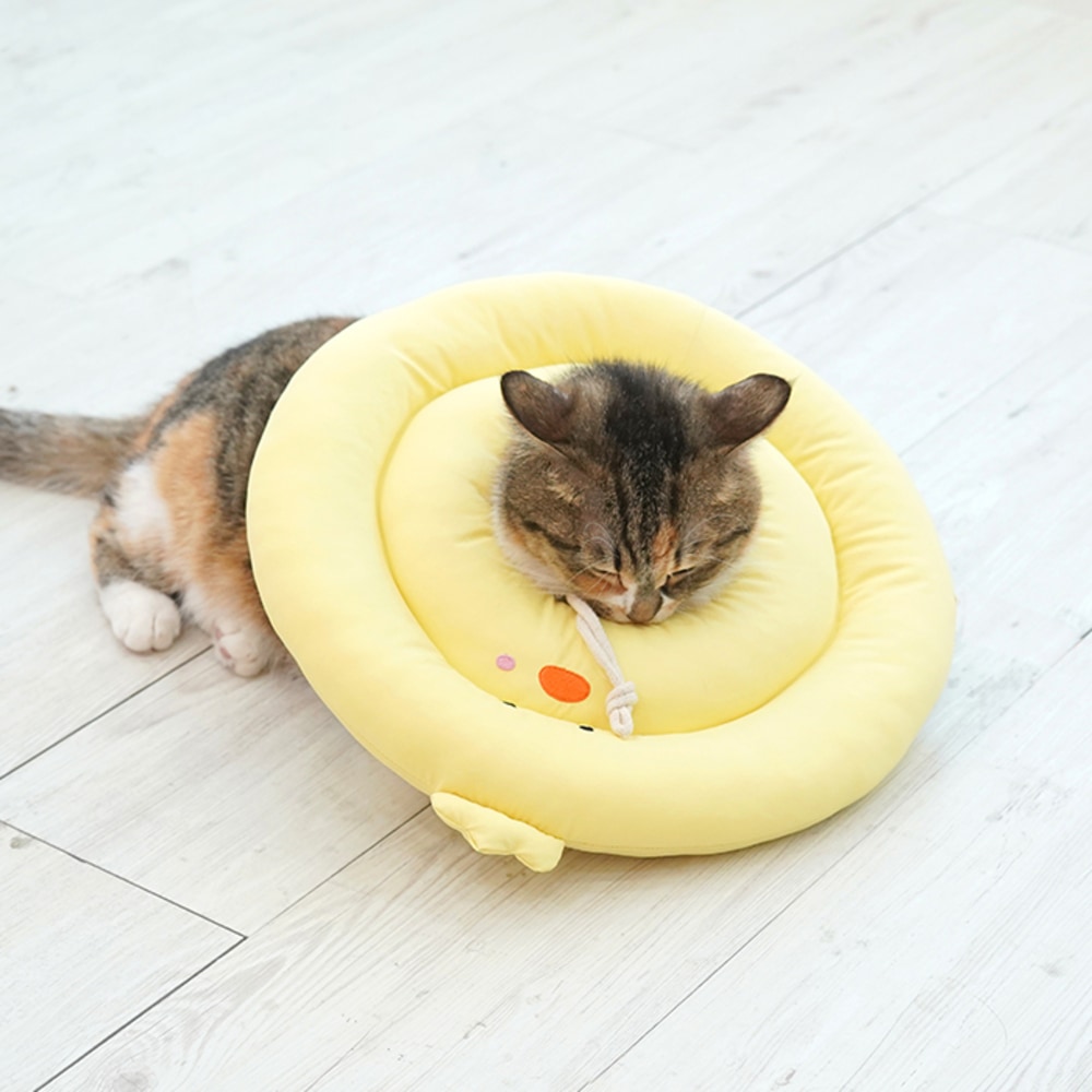 4. BUTTERFLY CROP T SHIRT 首圖