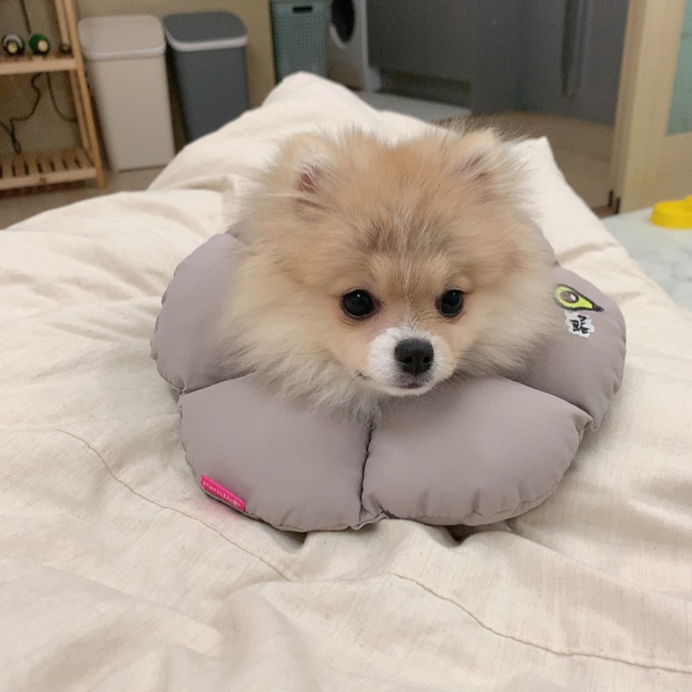 4. BUTTERFLY CROP T SHIRT 首圖