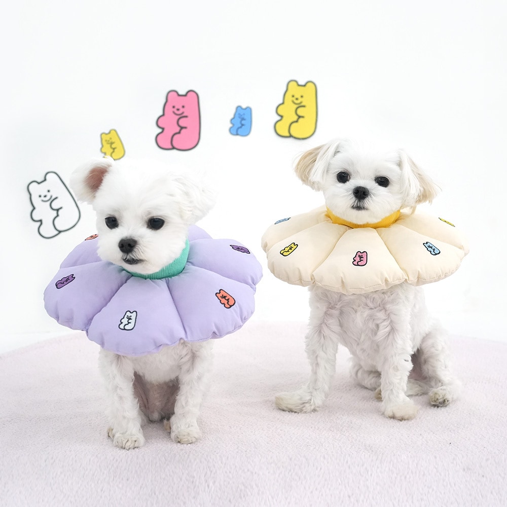 4. BUTTERFLY CROP T SHIRT 首圖