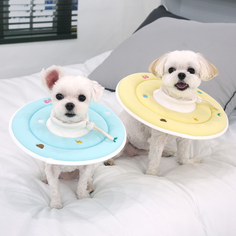 4. BUTTERFLY CROP T SHIRT 首圖