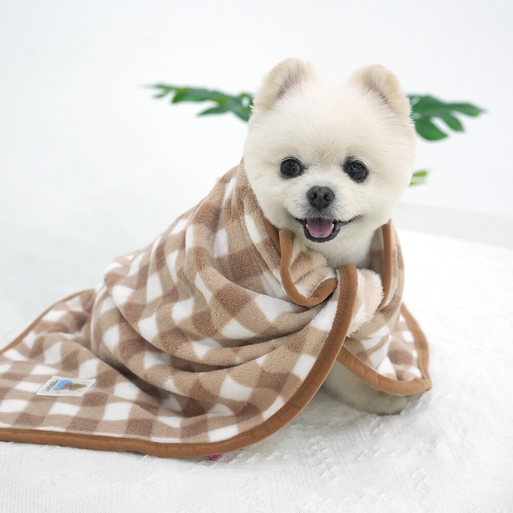 4. BUTTERFLY CROP T SHIRT 首圖