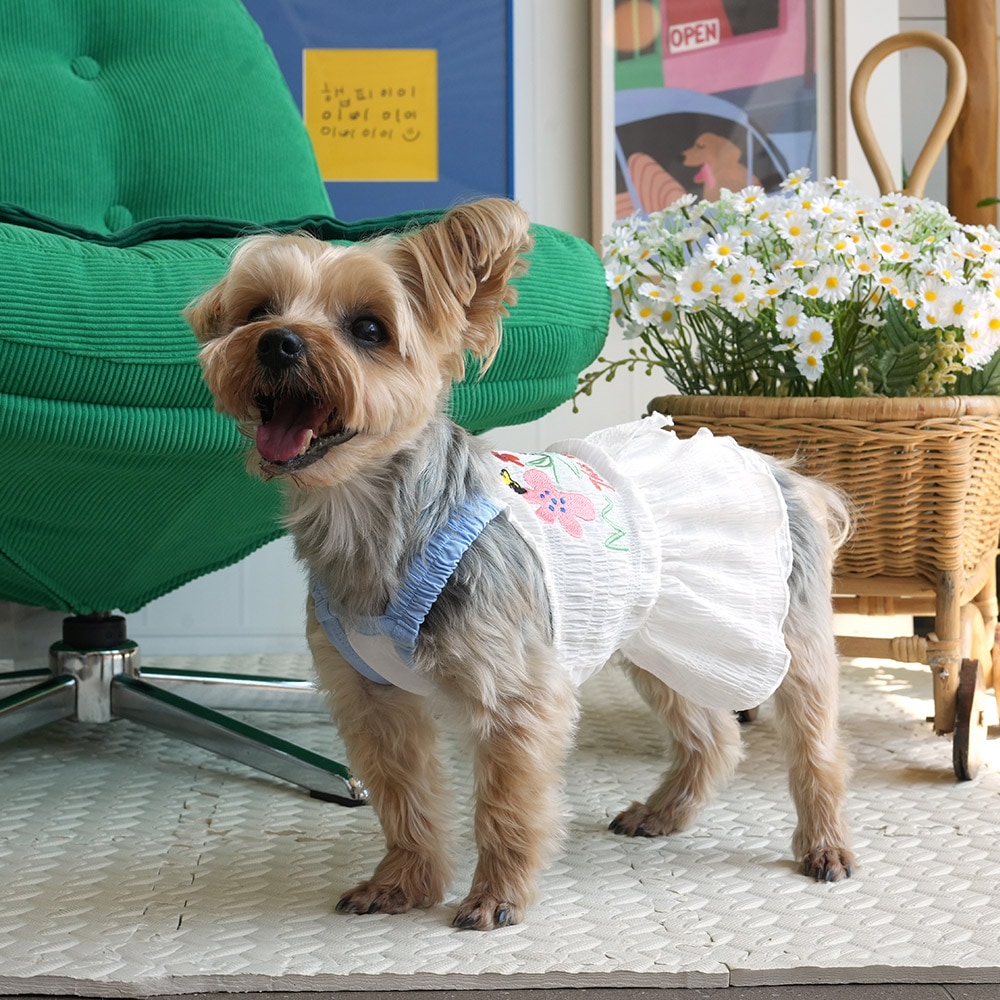 4. BUTTERFLY CROP T SHIRT 首圖