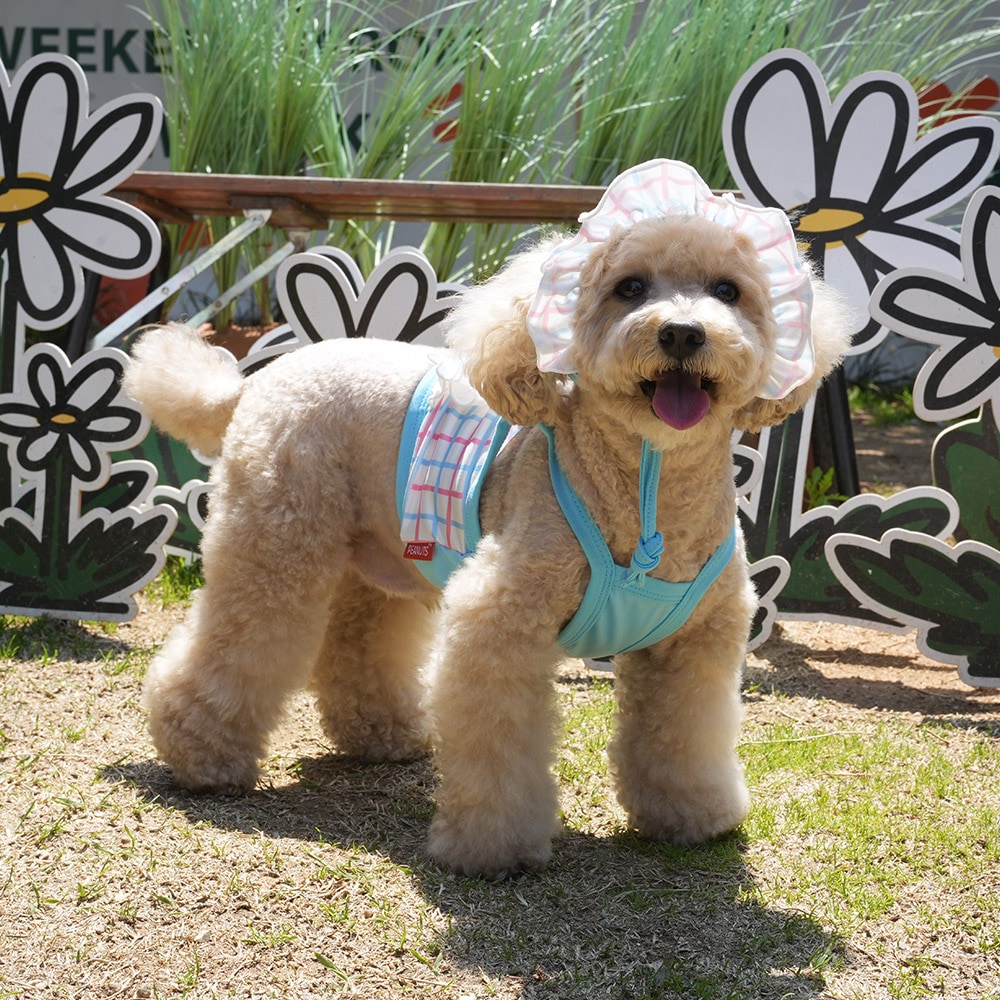 4. BUTTERFLY CROP T SHIRT 首圖