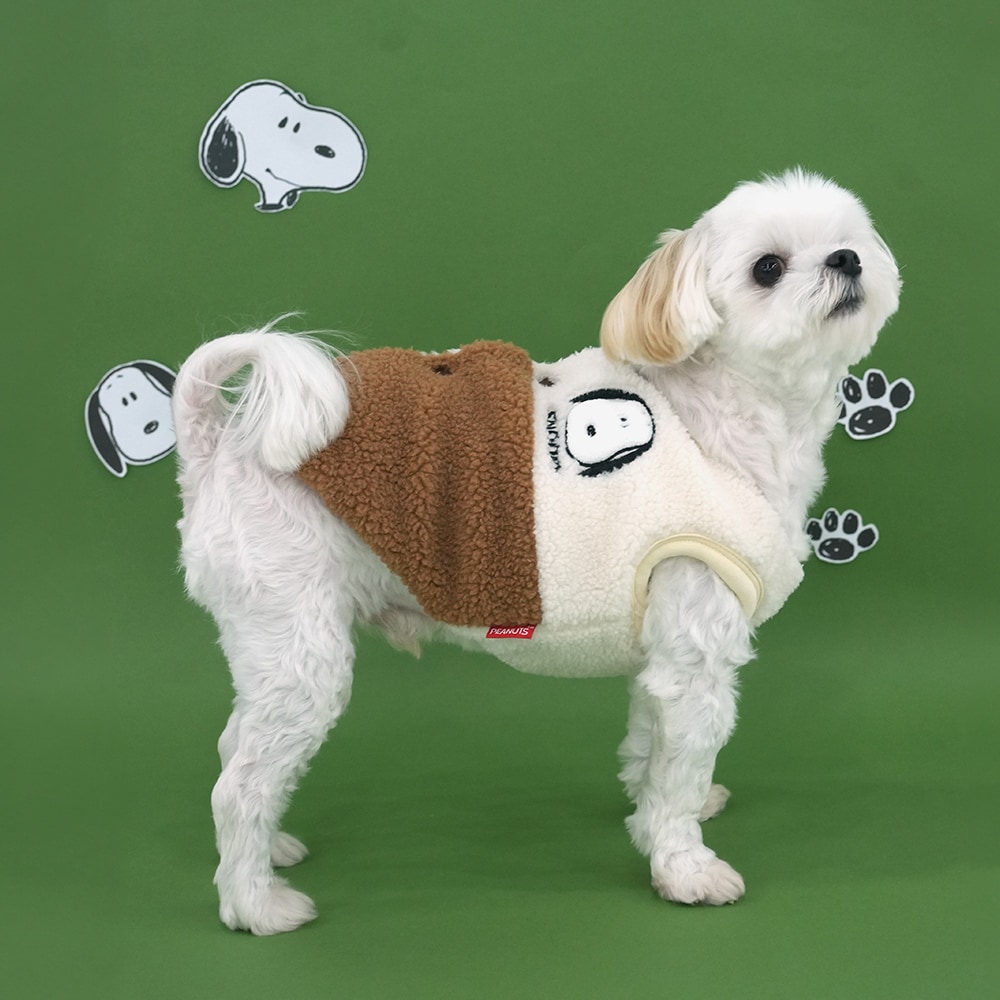 4. BUTTERFLY CROP T SHIRT 首圖