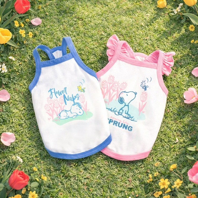 4. BUTTERFLY CROP T SHIRT 首圖