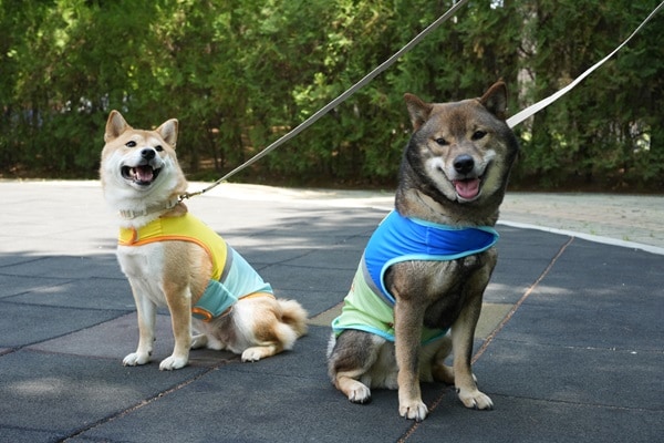 10.PEANUTS COOL OUTGOING VEST 首圖