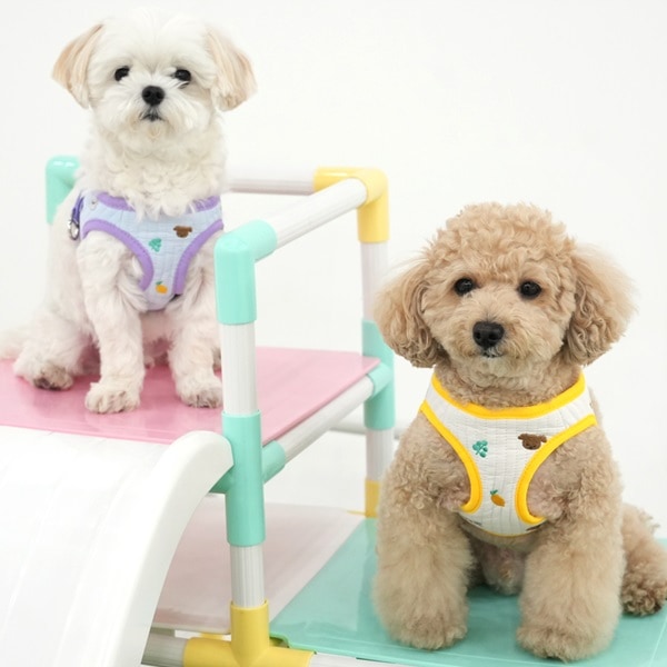 19. PEANUTS VINTAGE COLOR STRIPE T SHIRT_廣