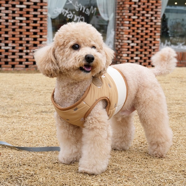 19. PEANUTS VINTAGE COLOR STRIPE T SHIRT_廣