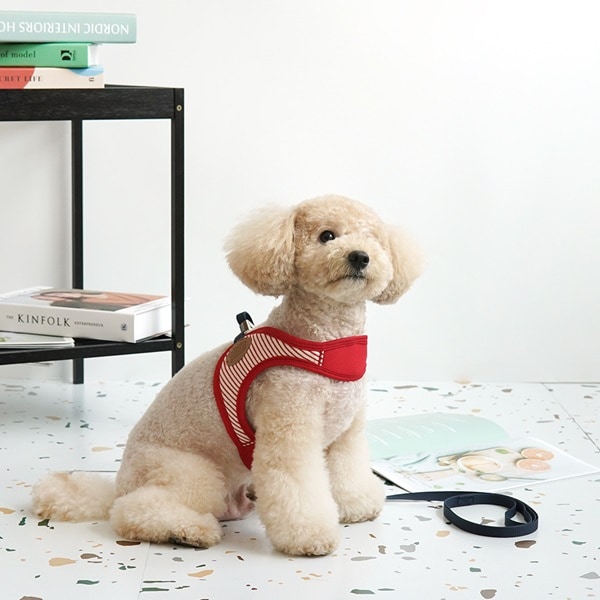 19. PEANUTS VINTAGE COLOR STRIPE T SHIRT_廣