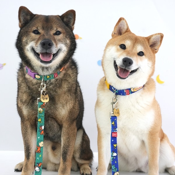 19. PEANUTS VINTAGE COLOR STRIPE T SHIRT_廣