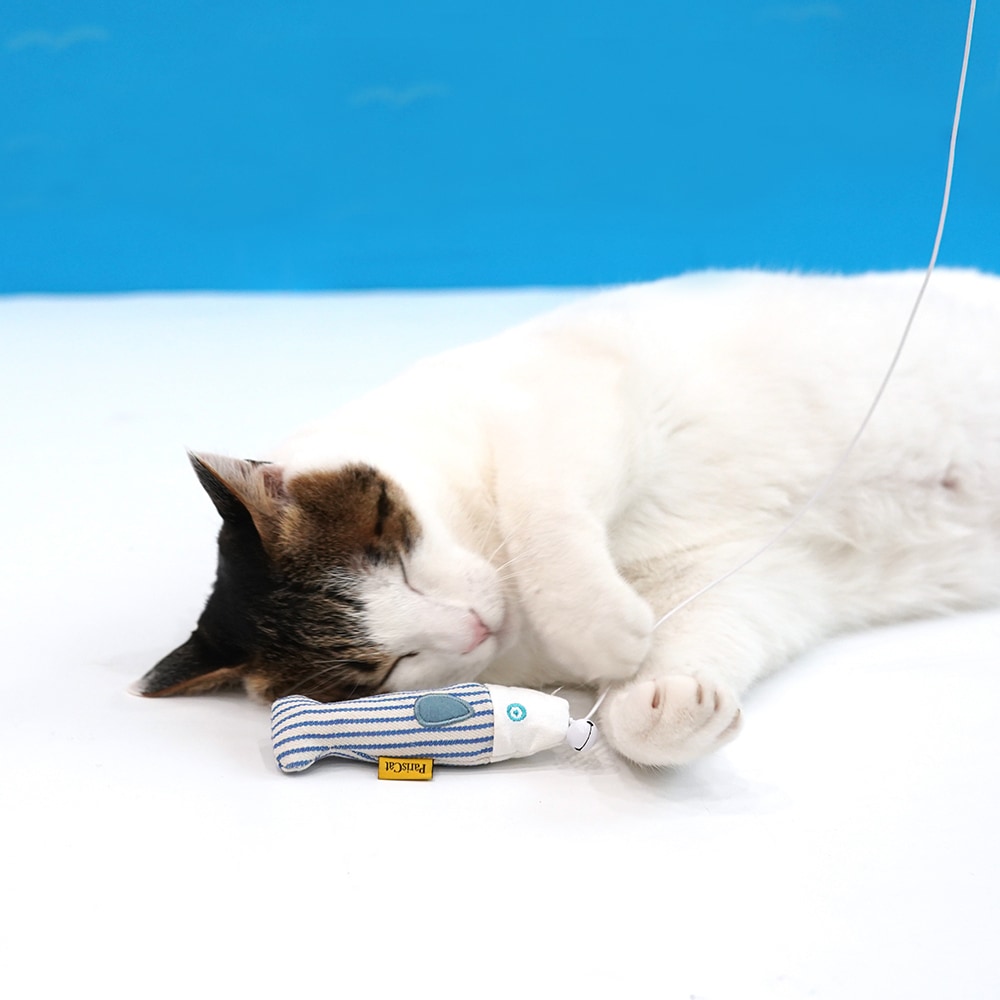 82. BOMB NOSEWORK TOY 首圖