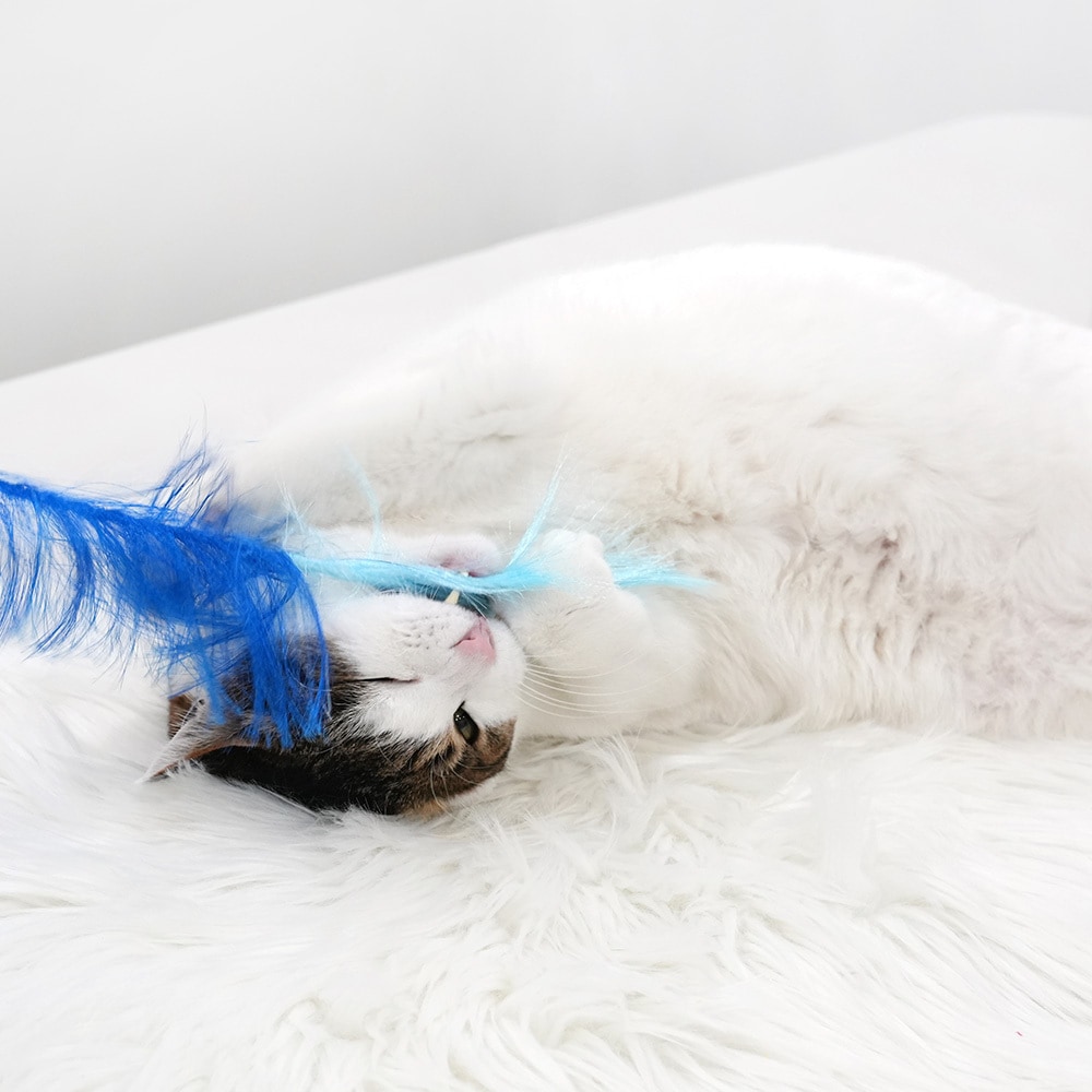 82. BOMB NOSEWORK TOY 首圖