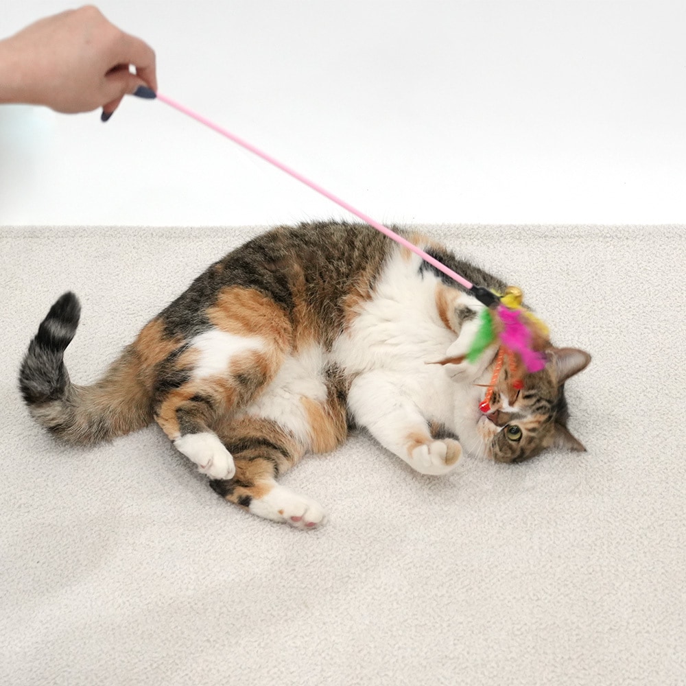 82. BOMB NOSEWORK TOY 首圖