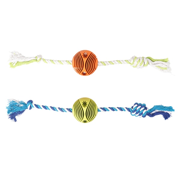 19. PEANUTS VINTAGE COLOR STRIPE T SHIRT_廣