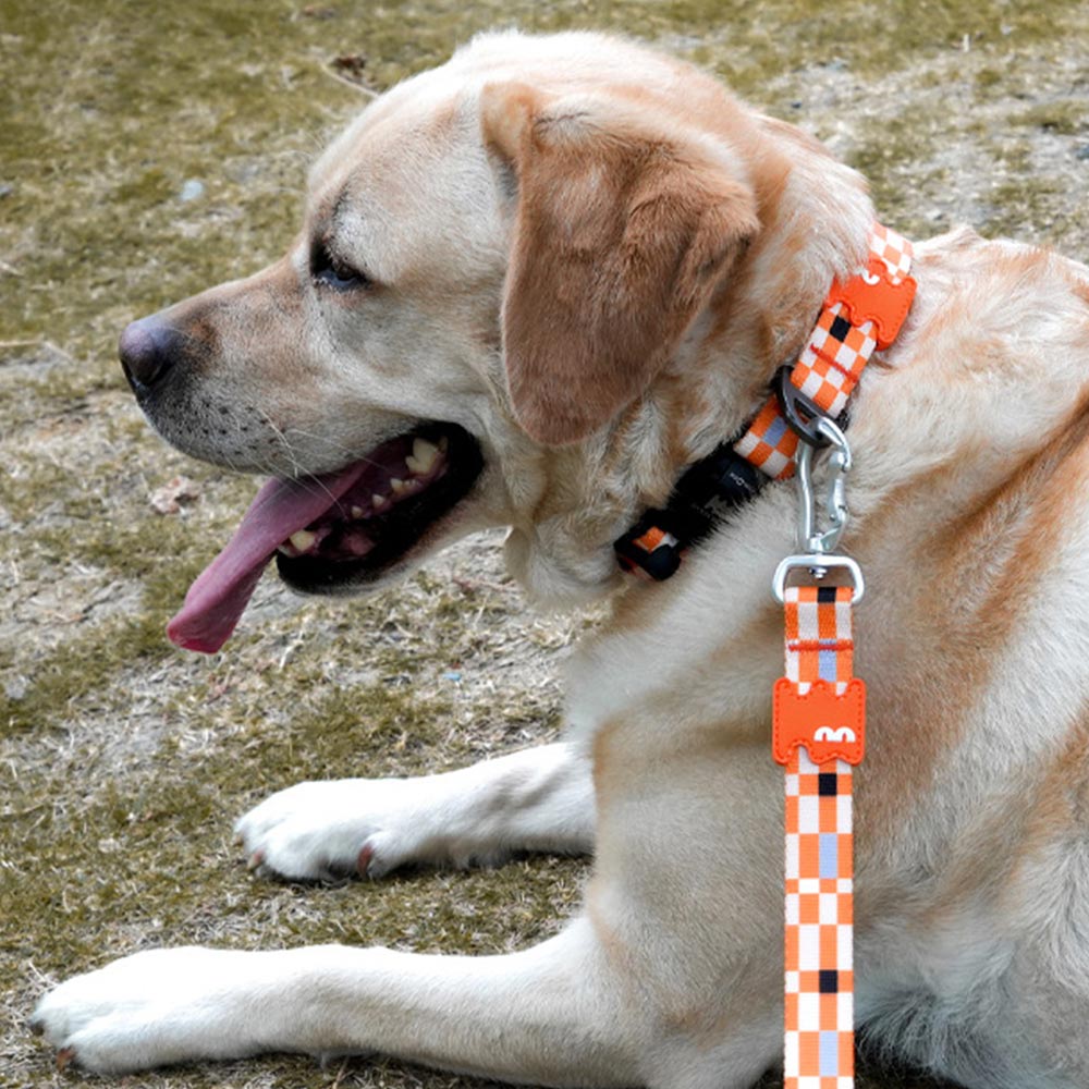 19. PEANUTS VINTAGE COLOR STRIPE T SHIRT_廣