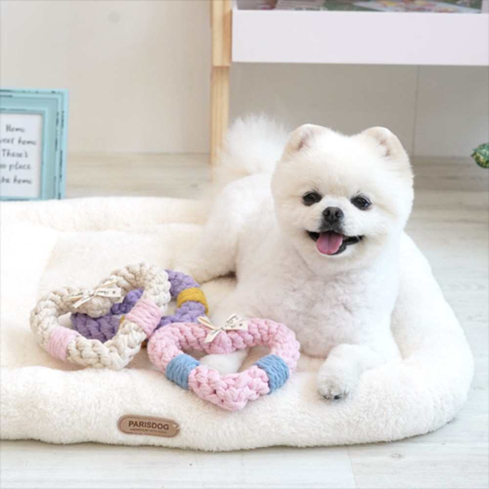 19. PEANUTS VINTAGE COLOR STRIPE T SHIRT 首圖