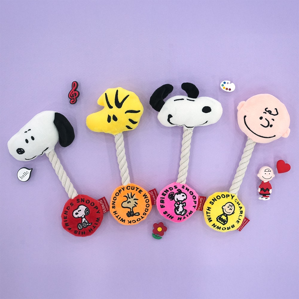 19. PEANUTS VINTAGE COLOR STRIPE T SHIRT 首圖