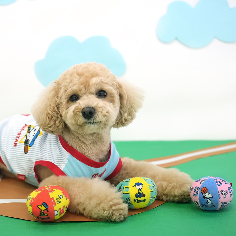 19. PEANUTS VINTAGE COLOR STRIPE T SHIRT 首圖